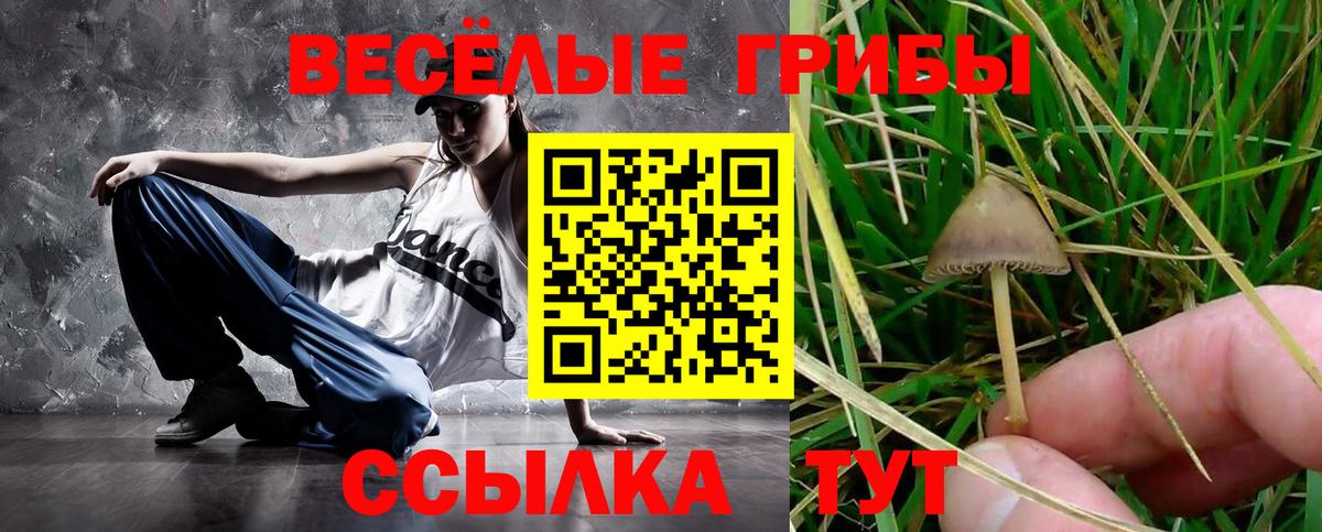 Галлюциногенные грибы Cubensis  Вход с VPN  Краснокаменск  Галлюциногенные грибы MAGIC MUSHROOMS 